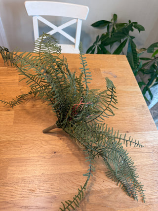 Faux Fern Leaves (C)