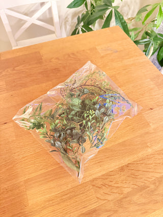 Misc. Greenery Pieces