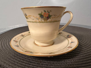 Vintage Tea Cup & Saucer Noritake MTS