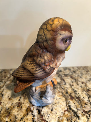 Vintage Screech or Barred Owl Figurine on Branch