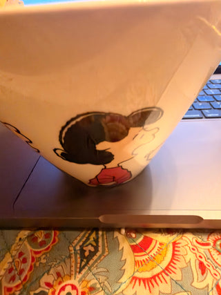 Snoopy / Peanuts Gang Ceramic Noodle Bowl