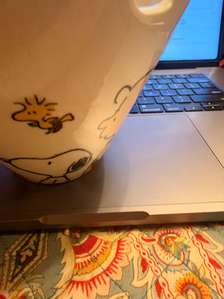 Snoopy / Peanuts Gang Ceramic Noodle Bowl