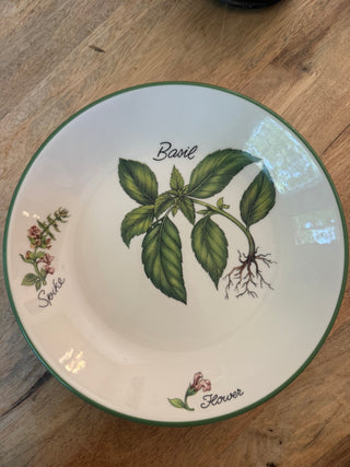 Over and Back inc. Herb plate (Basil)