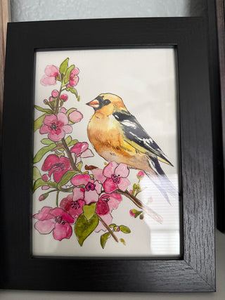 Watercolor Goldfinch and Pink Blossoms Framed
