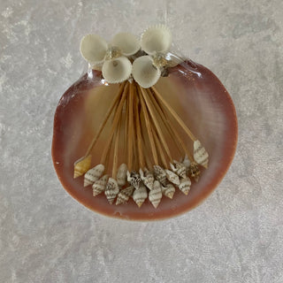 seashell toothpicks