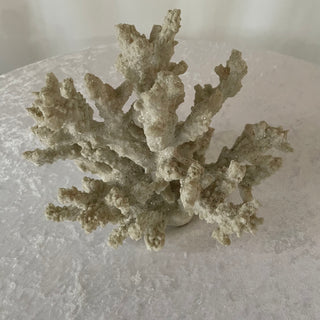 white coral decor
