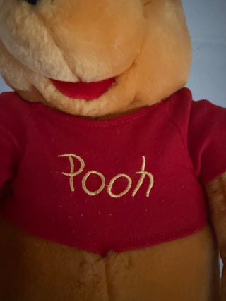 Winnie the Pooh Bear DSPE Plush