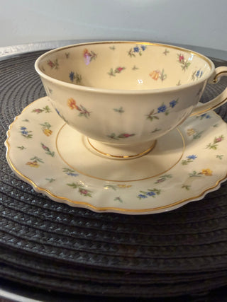Vintage Teacup/Saucer Federal Shape
