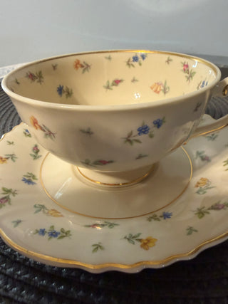 Vintage Teacup/Saucer Federal Shape