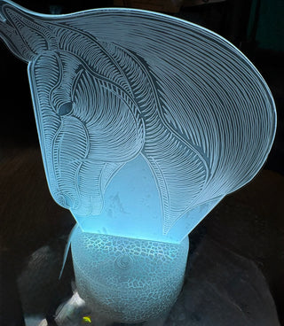 New 3D Illusion Light with Horse Design. Acrylic.