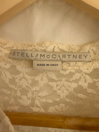 Stella McCartney Runway Lace/Embroidery Dress w/Silk Slip -- MTS
