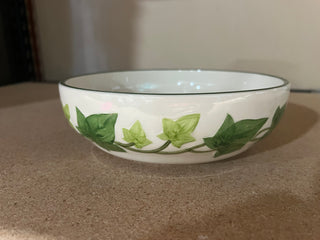 Franciscan Ivy 11" Salad Bowl