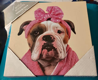 New! Bulldog in Pink! 8x8 Canvas with Bulldog in pink robe and headband