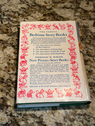 Vintage Book: The Bobbsey Twins at the Ice Carnival by Laura Lee Hope