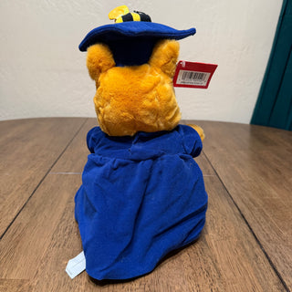 Disney Store Winnie the Pooh Graduation plush Diploma Soft-NWT