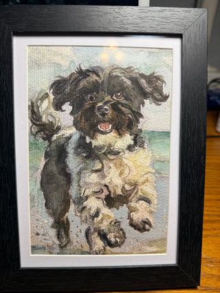 Black n white puppy mixed media