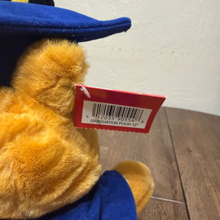 Disney Store Winnie the Pooh Graduation plush Diploma Soft-NWT