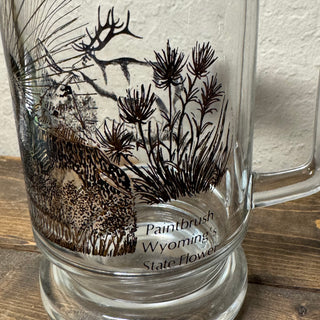 Vintage Grand Teton Glass Beer Mug