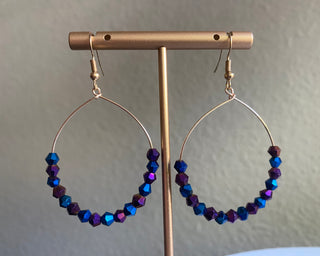 Purple/blue earrings