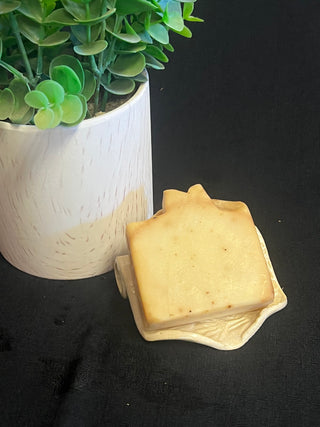 Ceramic Soap Dish Scroll Coneflowers