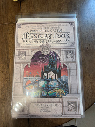 Disney Cinderella Castle Mystery Tour