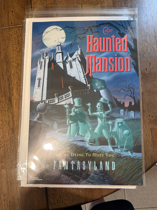 Tokyo Disney Haunted Mansion