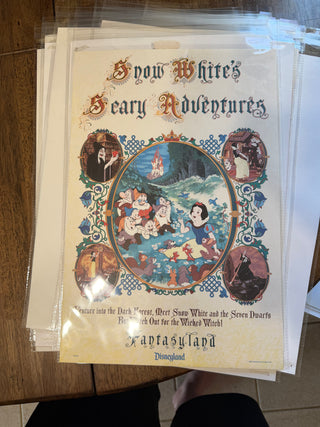 Disneyland Snow Whites Scary Adventure