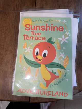 Disney World Sunshine Tree Terrace