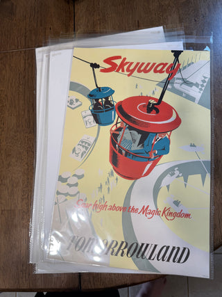 Disney Skyway