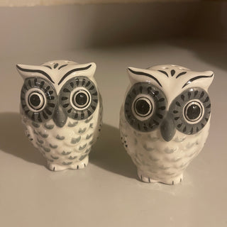 Ceramic Owl Salt & Pepper Set--SP