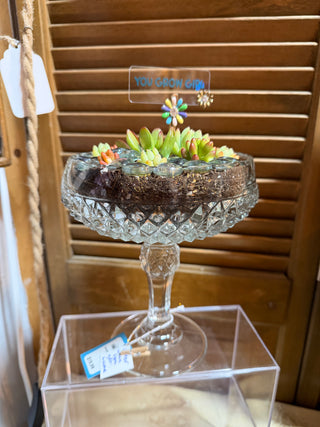 coupe planter