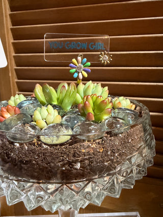 coupe planter
