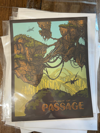 WDW Flight of Passage