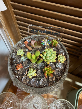 coupe planter