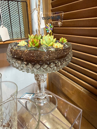 coupe planter