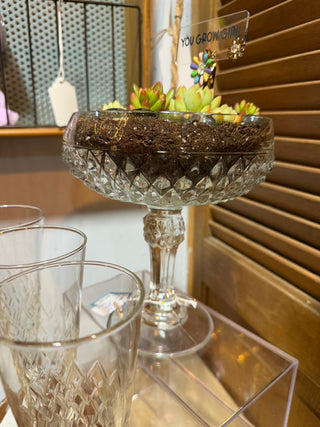 coupe planter