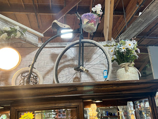 sv-Child's high wheel bicycle