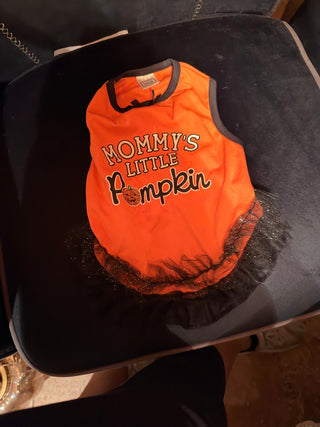 Simply Wag Pet Costume small orange Halloween Pumpkin Tutu dress