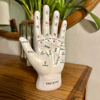 Palmistry Model/Fortune Telling Hand