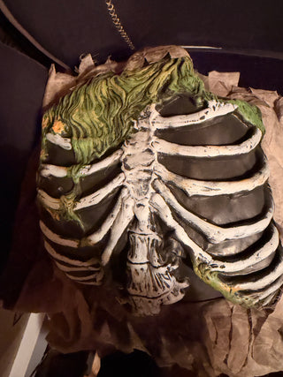 Easter Unlimited Zombie Skull Mask  and top rib cage