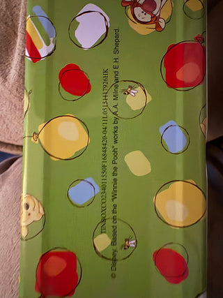 Disney Winnie the Pooh Metal Pencil Case