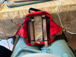 Lowe Alpine Lumber Hiking Fanny Pack Trail Mountain Sporty  VV