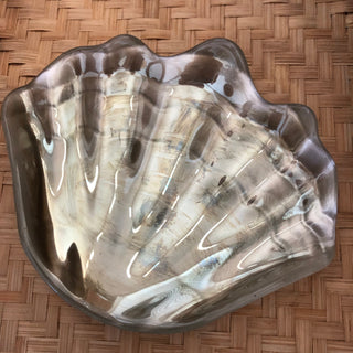 Cream Shell Dish