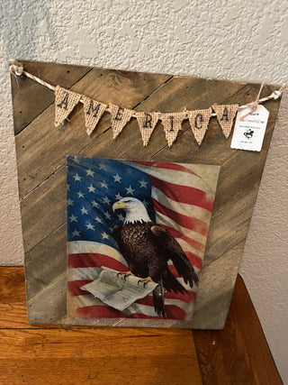 American Eagle Picture