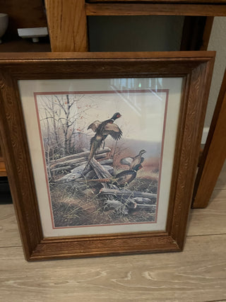 Pheasant Picture