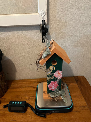Bird House with Transfer