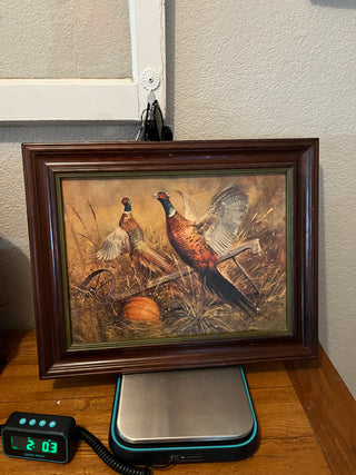 Pheasant Picture with Pumpkin