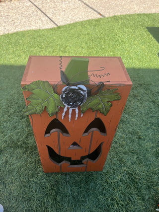 Square Pumpkin lights up