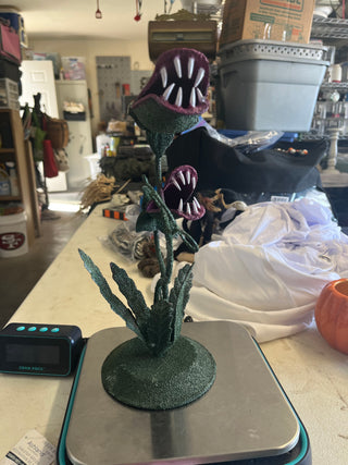 12 inch Man Eating Plant
