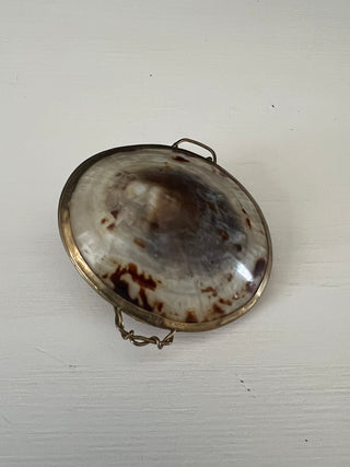 Shell trinket box